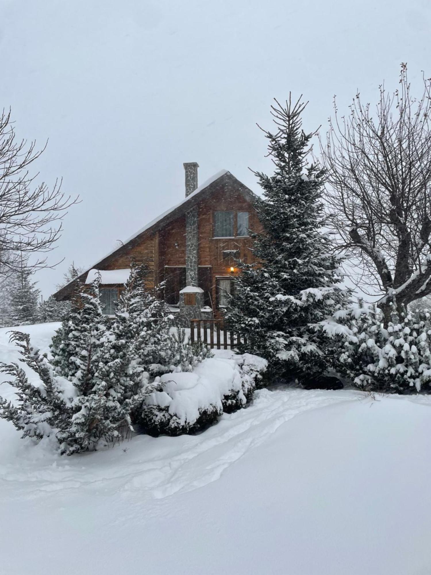 Chalet Ro Peştera Exteriör bild