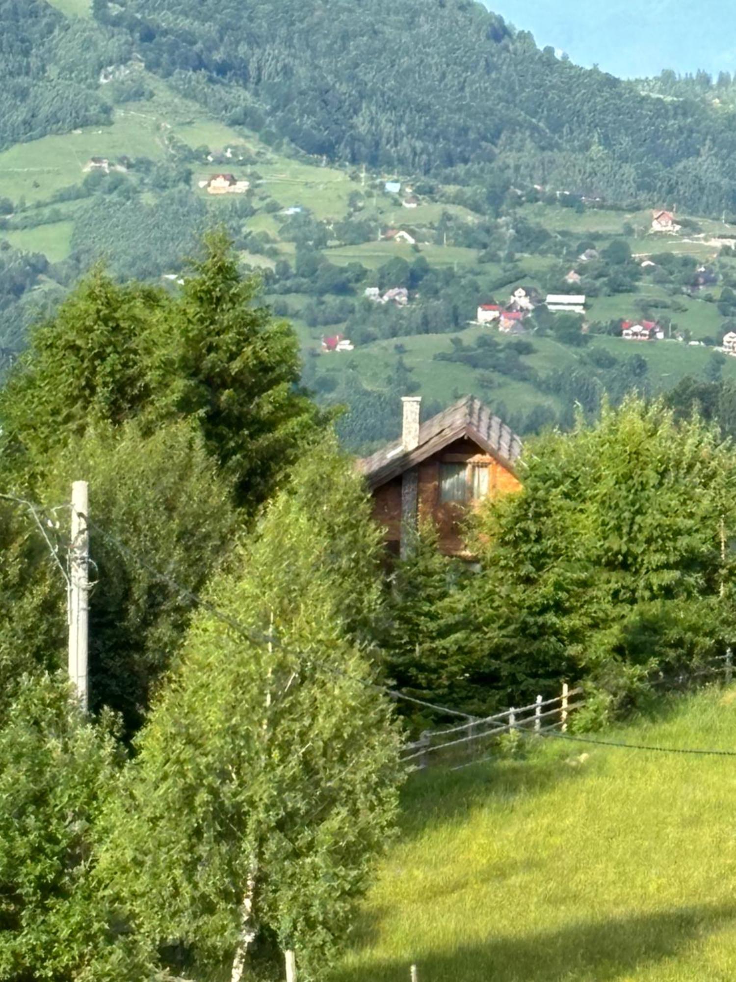 Chalet Ro Peştera Exteriör bild
