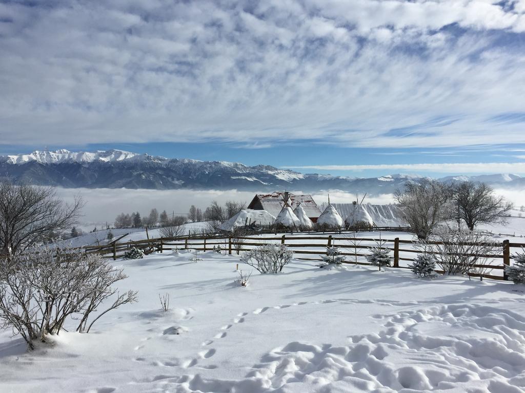 Chalet Ro Peştera Exteriör bild