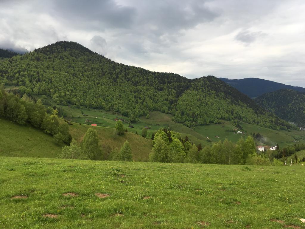 Chalet Ro Peştera Exteriör bild